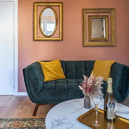 Apartment Champagne En Terrasse - Elegant Et Discret Troyes