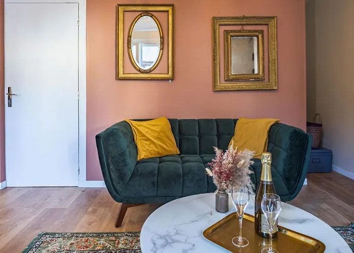 Apartment Champagne En Terrasse - Elegant Et Discret Troyes