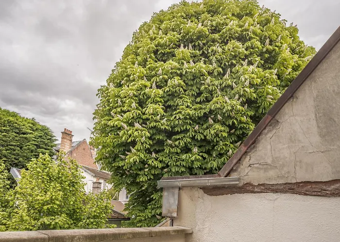Apartment Champagne En Terrasse - Elegant Et Discret *